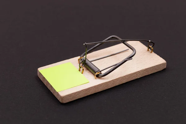 Papel Memo pequeno em Mousetrap de madeira - Modelo — Fotografia de Stock