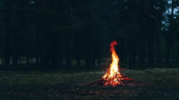 Una hoguera en el bosque - cámara lenta — Vídeo de stock