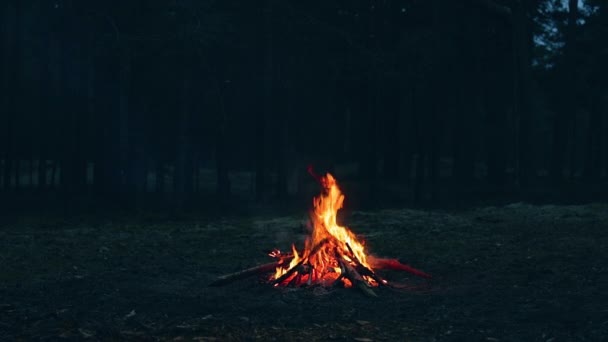 Una hoguera en el bosque - cámara lenta — Vídeo de stock