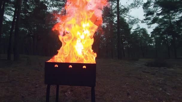 Горящее пламя в воздухе - сверхмедленное движение — стоковое видео