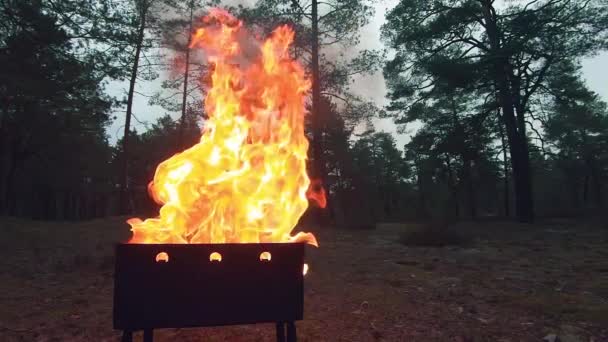 Hořící plamen v pánvi - Super pomalý pohyb — Stock video