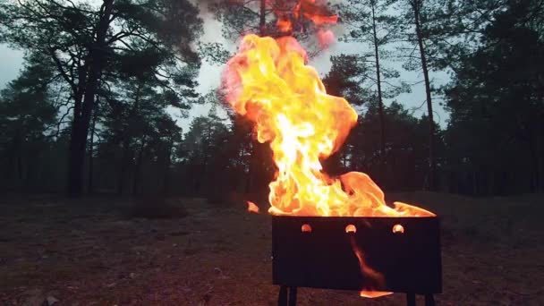 Burning Flame in the Brazier - Σούπερ αργή κίνηση — Αρχείο Βίντεο