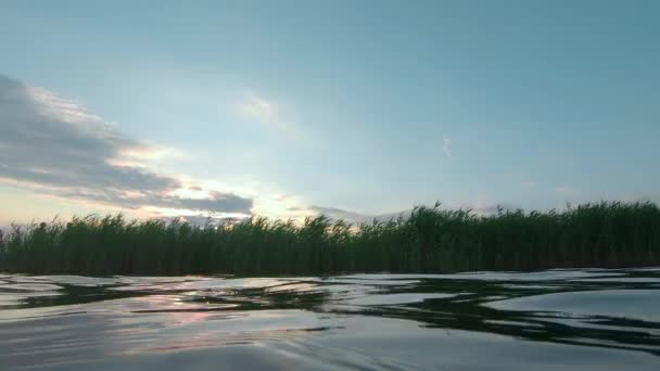 Superficie dell'acqua sopra e sotto il fiume - Movimento lento — Video Stock