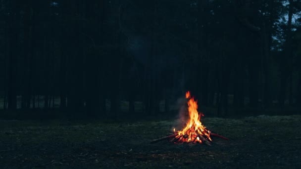 Una hoguera en el bosque - cámara lenta — Vídeo de stock