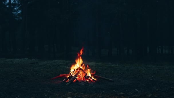 Una hoguera en el bosque - cámara lenta — Vídeo de stock