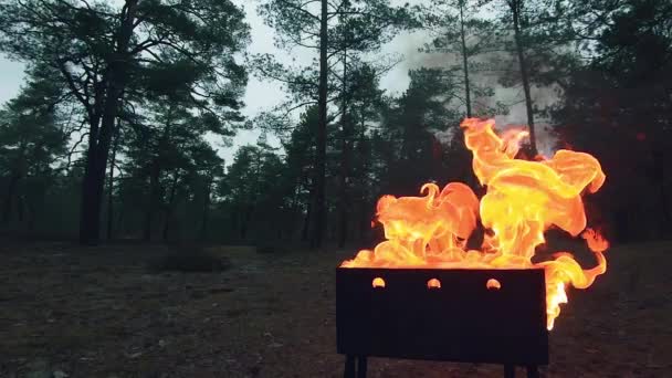 Hořící plamen v pánvi - Super pomalý pohyb — Stock video