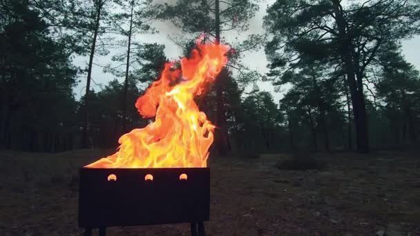 Burning Flame in the Brazier - Σούπερ αργή κίνηση — Αρχείο Βίντεο
