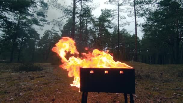 Brennende Flamme im Brasilianer - Super-Zeitlupe — Stockvideo