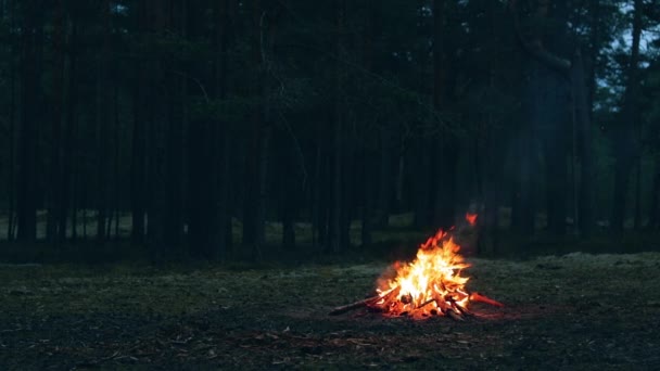 Una hoguera en el bosque - cámara lenta — Vídeo de stock