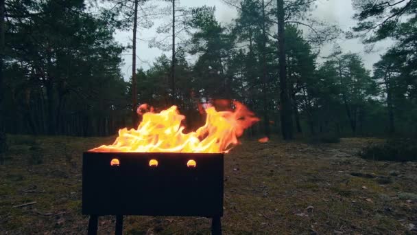 Hořící plamen v pánvi - Super pomalý pohyb — Stock video