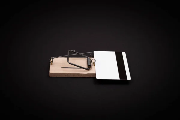 Modelo de cartão de crédito em branco branco na armadilha de madeira do mouse — Fotografia de Stock