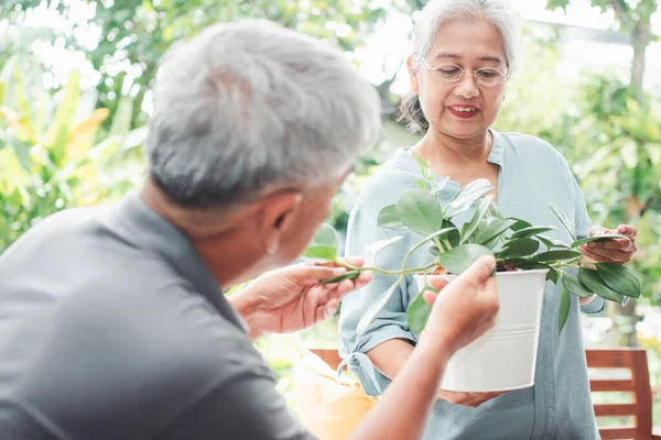 Uma Mulher Idosa Asiática Feliz Sorridente Está Plantando Para Hobby — Fotografia de Stock