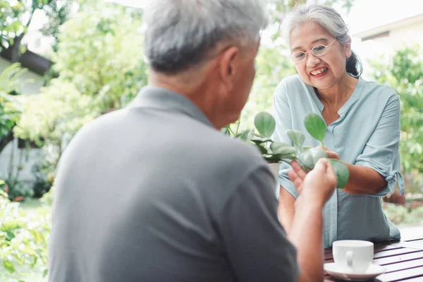 Een Gelukkige Lachende Aziatische Bejaarde Vrouw Plant Voor Een Hobby — Stockfoto