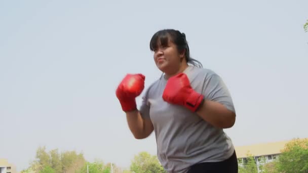 Счастливая толстая азиатская женщина носит красные боксерские перчатки Попробуйте похудеть, упражняясь в саду, ударяя. Концепция здравоохранения и потеря веса через физические упражнения. — стоковое видео