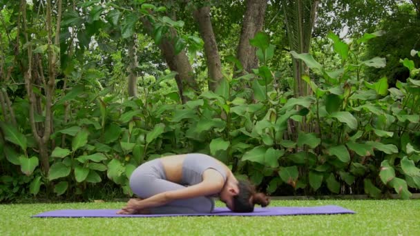 Portrait of a young woman doing yoga in the garden for a workout. Concept of lifestyle fitness and healthy. Asian women are practicing yoga in the park. — Stock Video