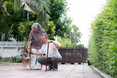 İki yaşlı yetişkin, köpekleri ile birlikte lüks, banliyö ortamında huzurlu bir yürüyüşün tadını çıkarıyorlar. Sahne aktif yaşlanma, evcil hayvan arkadaşlığı, duygusal bağ ve etrafını çevreleyen dikkatli bir yaşam tarzını yansıtıyor.