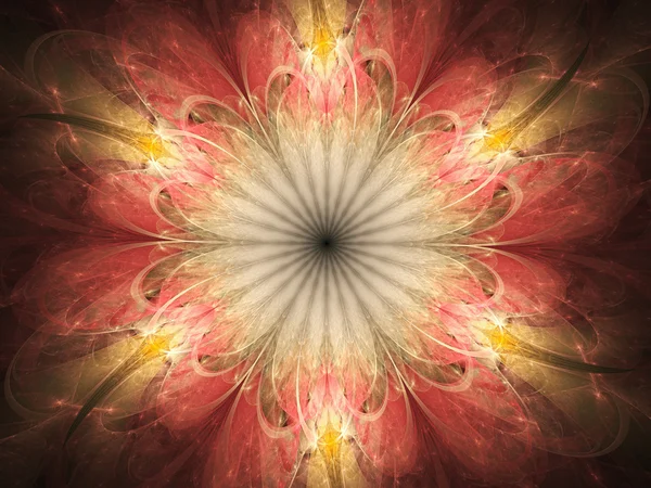 抽象分形花，用于创造性平面设计的数字艺术品 — 图库照片