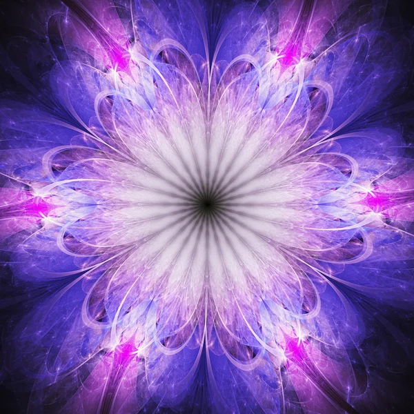 Dark pink and blue fractal flower, digital artwork for creative graphic design — Stock Photo, Image