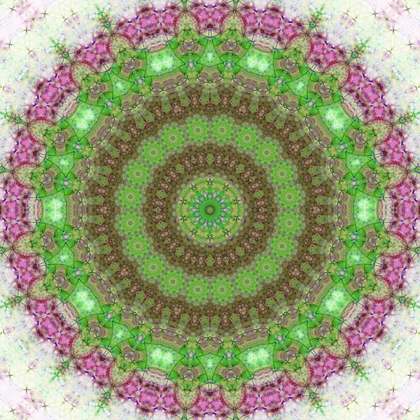 Green nature themed fractal mandala, digital artwork for creative graphic design — Stock Photo, Image