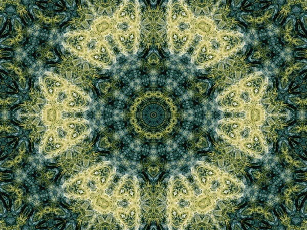 Tapisserie détaillée comme mandala fractal, illustration numérique pour la conception graphique créative — Photo