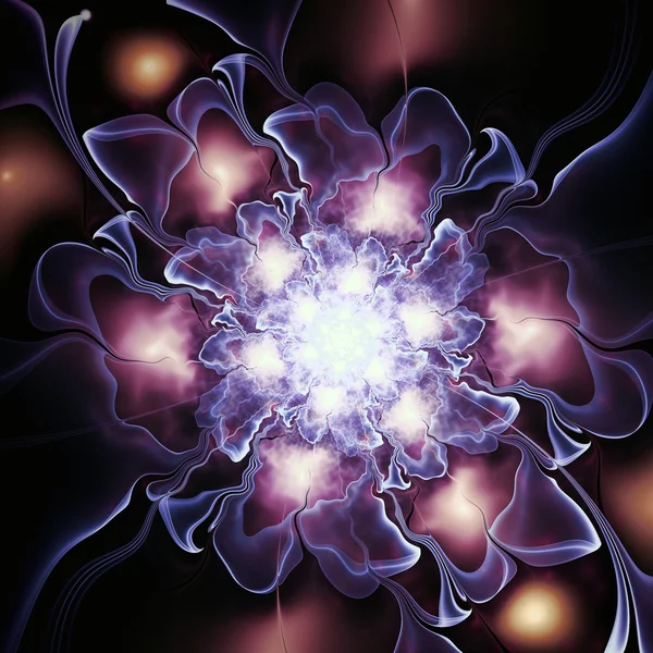 Flor fractal púrpura oscura, obra de arte digital para un diseño gráfico creativo —  Fotos de Stock