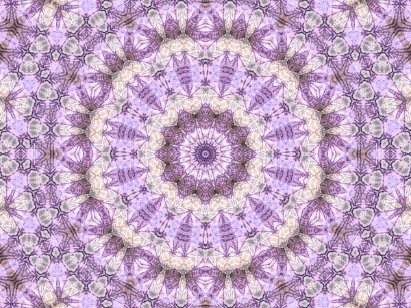 Mandala fractal rosa, arte digital para design gráfico criativo — Fotografia de Stock