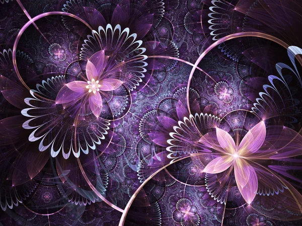 Фиолетовые фрактальные цветы, цифровые произведения искусства для творческого графического дизайна — стоковое фото