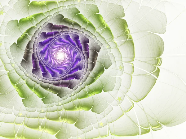 Licht kleurrijke fractal bloem, digitaal kunstwerk voor creatief grafisch ontwerp — Stockfoto