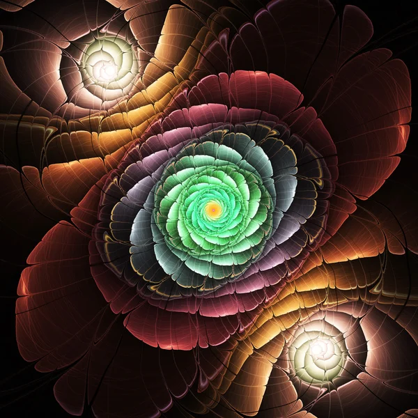 Tmavý fraktální květ, digitální umělecké dílo pro kreativní grafický design — Stock fotografie