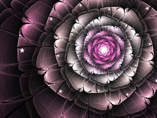 Fleur fractale rose brillant, illustration numérique pour la conception graphique créative — Photo