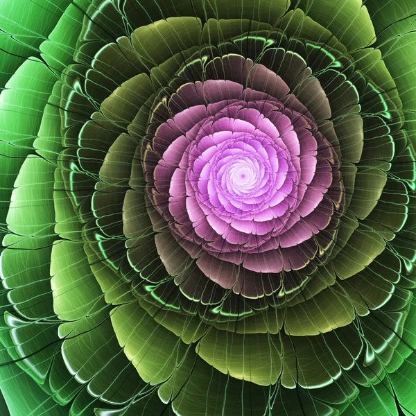 Рожево-зелена фрактальна квітка, цифрове мистецтво для творчого графічного дизайну — стокове фото