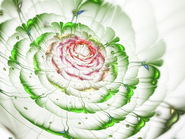 Flor fractal verde e vermelha, obra de arte digital para design gráfico criativo — Fotografia de Stock