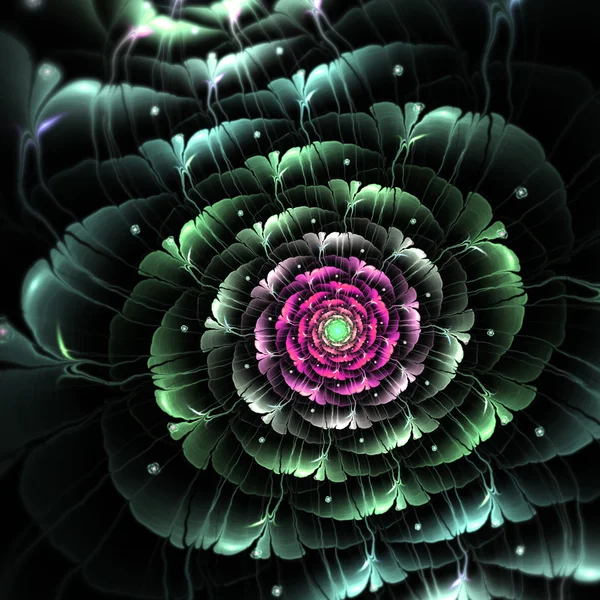 Dark fractal flower, digital artwork for creative graphic design — Stock Photo, Image