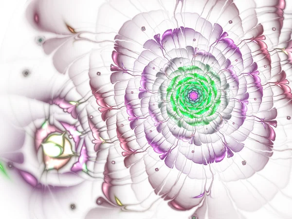 Licht paarse fractal bloem, digitale kunst voor creatieve grafisch ontwerp — Stockfoto