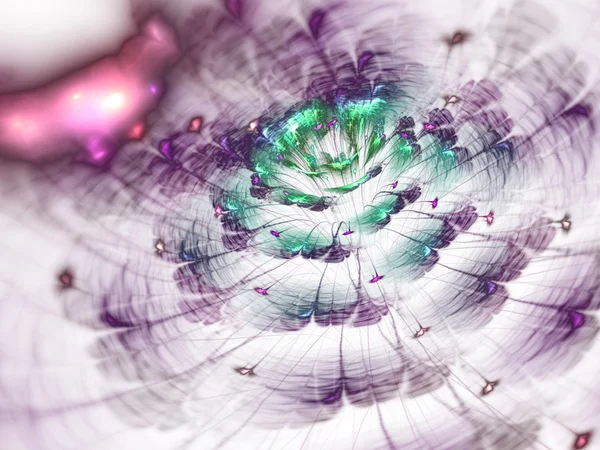 Licht paarse fractal bloem, digitale kunst voor creatieve grafisch ontwerp — Stockfoto