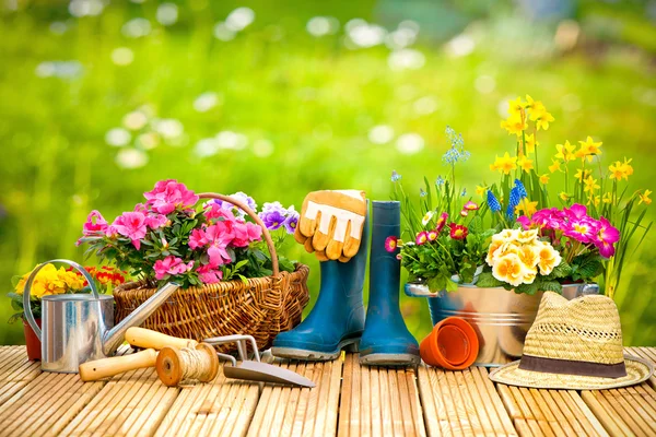 Herramientas de jardinería y flores en la terraza — Foto de Stock