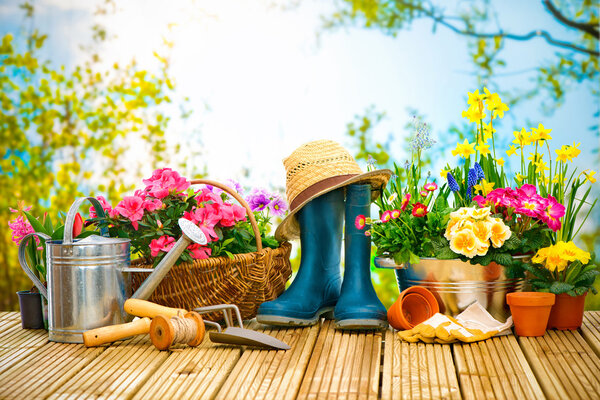 Садовые инструменты и цветы на террасе
