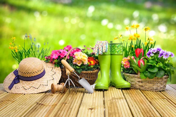 Attrezzi da giardinaggio e fiori sulla terrazza — Foto Stock