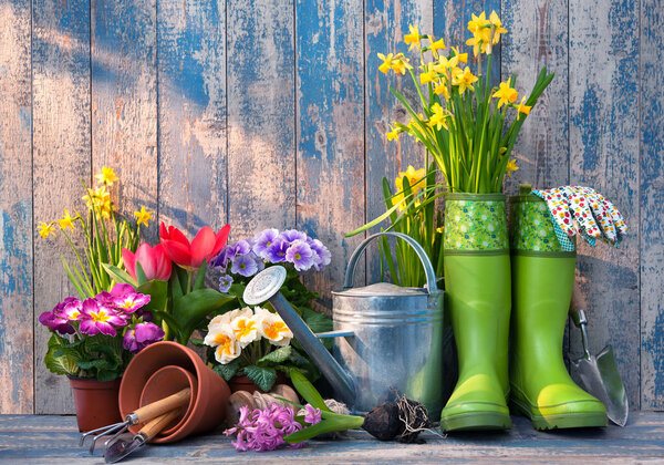 Gardening tools and flowers on the terrace