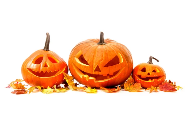 Halloween zucca testa jack lanterna — Foto Stock