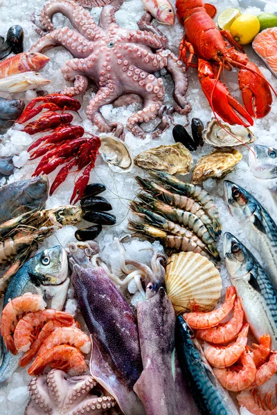 Frutti di mare su ghiaccio — Foto Stock