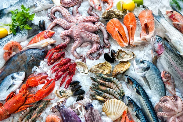 Frutti di mare su ghiaccio — Foto Stock