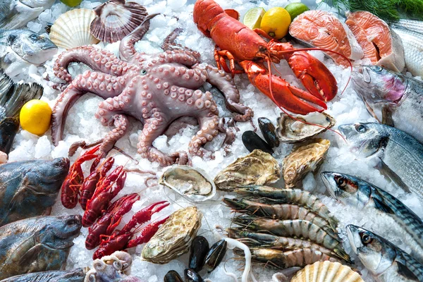 Seafood on ice Stock Photo