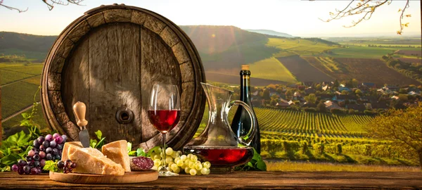Wijn vat op wijngaard — Stockfoto