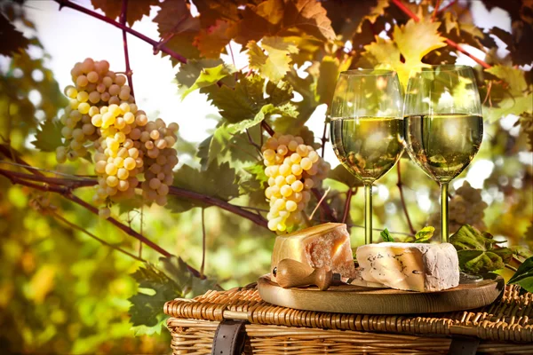 Vino, uvas y queso — Foto de Stock