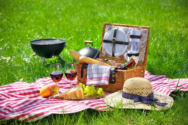 Picnic en un prado —  Fotos de Stock