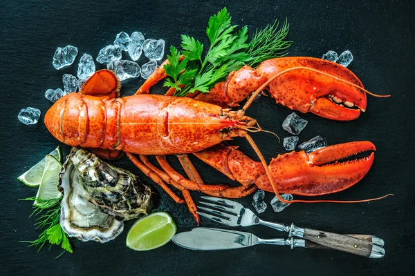 魚介類甲殻類の貝プレート — ストック写真