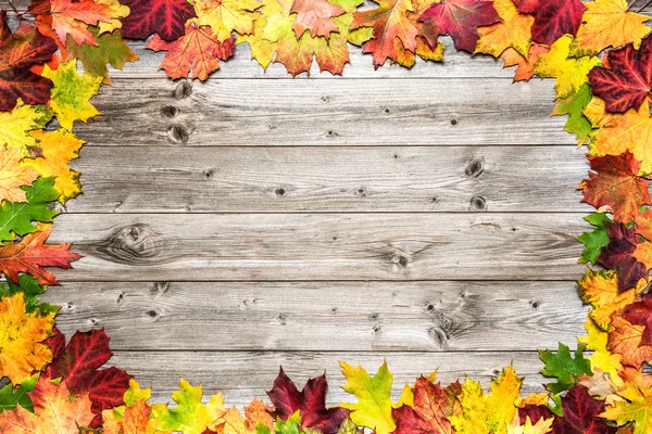 Frame from autumn maple leaves — Stock Photo, Image