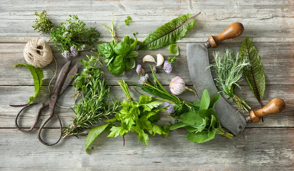 Fresh herbs and spices on wooden table — Stock Photo, Image