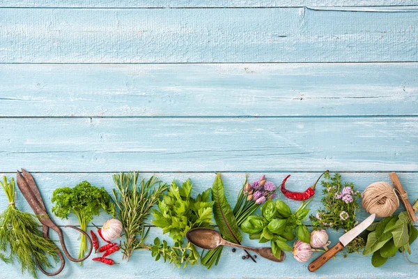 Herbes fraîches et épices sur table en bois — Photo